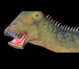 What dinosaur has 500 Teeth, Nigersaurus
