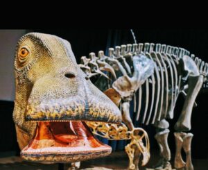 What dinosaur has 500 Teeth Nigersaurus