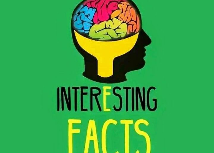 Some interesting and random facts of the day, weird facts that's are true,