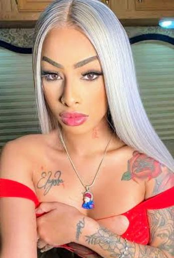 Yailin la mas viral net worth, Bio, Career, Wiki, husband, Tour, Tiktok