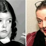 Lisa loring Wednesday Addams net worth and Biography, Age, Wiki, obituary