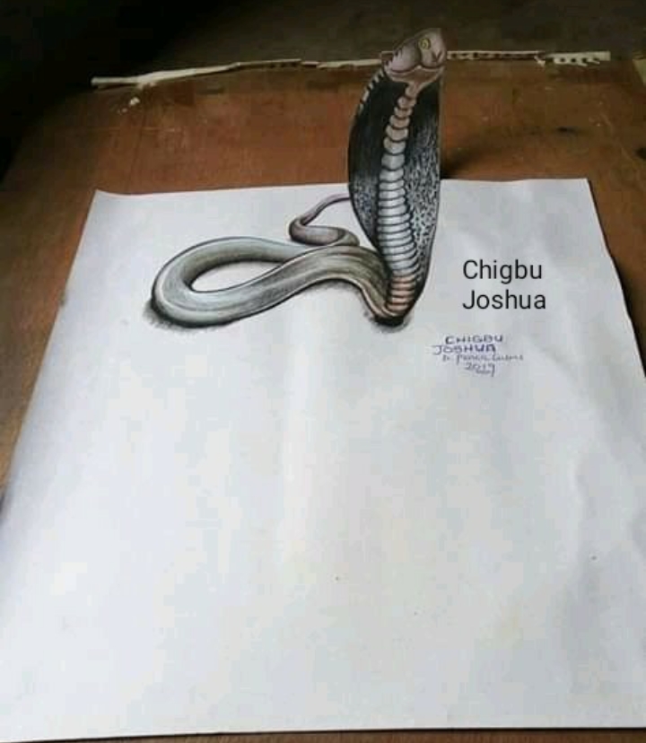 Chigbu Joshua snake drawing