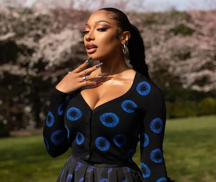 Megan Thee Stallion net worth and Biography, Age and More