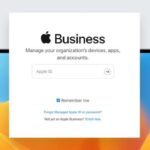 add device to apple business manager