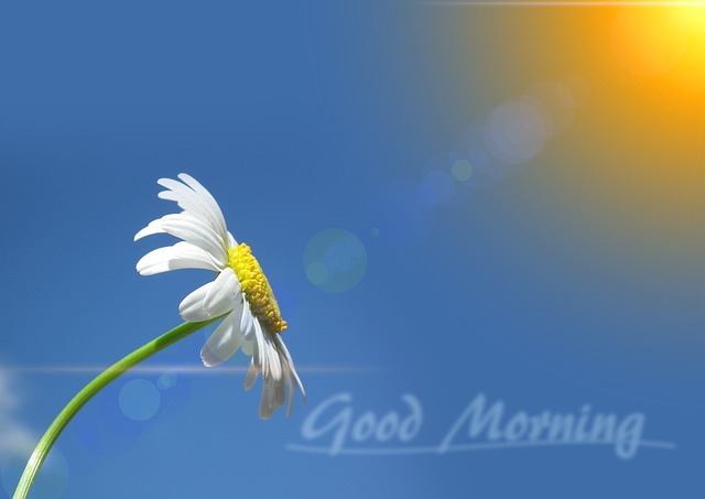 50 Heartfelt Good Morning Messages for Your Boyfriend or Girlfriend