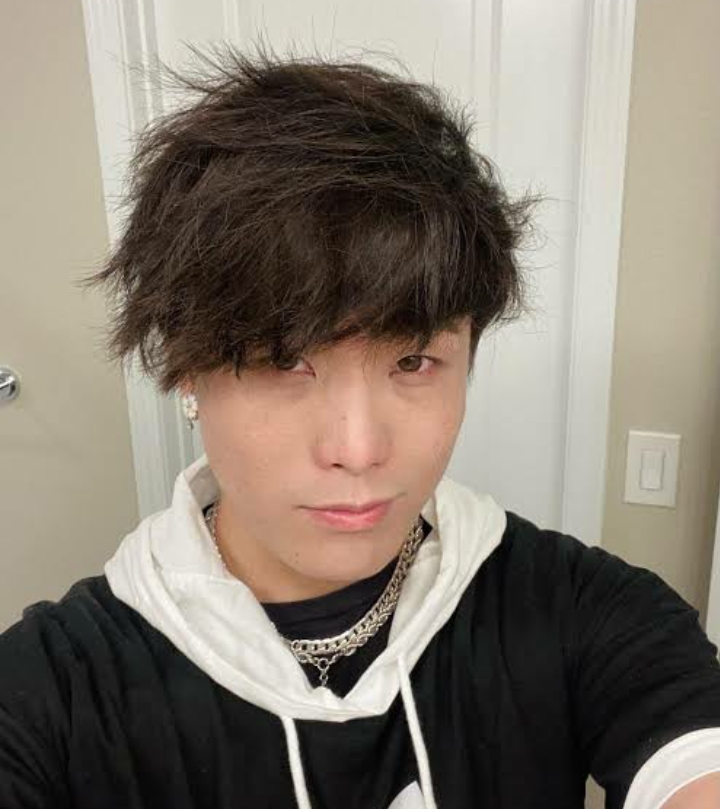 How Much Is Sykkuno Net Worth, Biography, Age, Height, Career