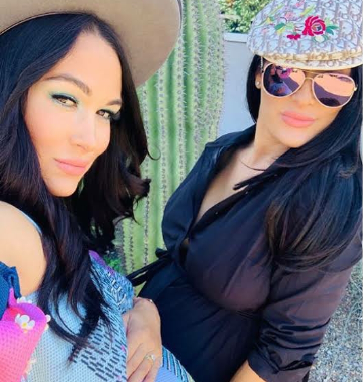 How Much is Nikki Bella Net Worth? Biography, Age, Husband, Wiki