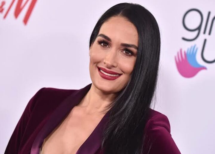 How Much is Nikki Bella Net Worth? Biography, Age, Husband, Wiki